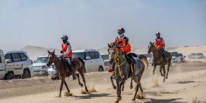 مهرجان سلطان بن زايد للقدرة يستأنف فعالياته - سعودي الإخباري