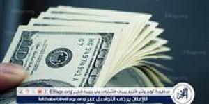 سعر الدولار أمام الجنيه المصري في تعاملات اليوم الخميس 6/2/2025 بالبنوك - سعودي الإخباري