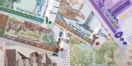 سعر الجنيه السوداني مقابل الريال السعودي اليوم الثلاثاء 29 أكتوبر 2024 في الختام - سعودي الاخباري