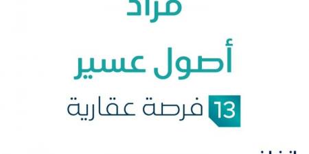 13 فرص عقارية .. مزاد عقاري جديد من شركة هوية للمزادات تحت إشراف مزادات إنفاذ - سعودي الاخباري