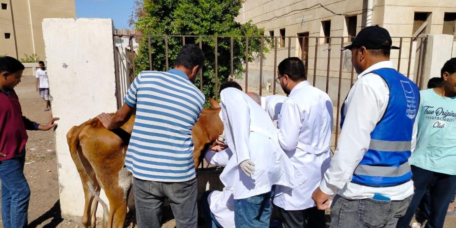 قافلة طبية بيطرية مجانية بقرية الخواطرة بالسويس - سعودي الاخباري