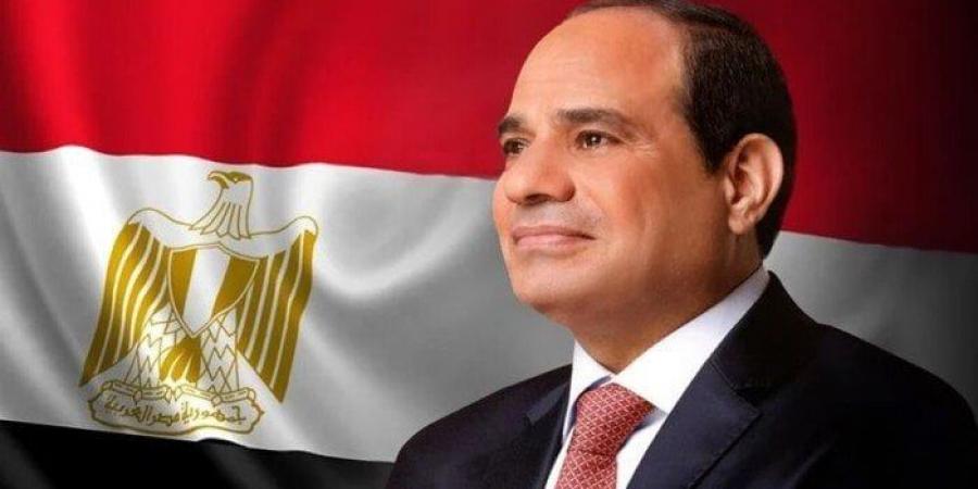 الرئيس السيسي: مصر تؤمن بضرورة تكاتف الدول النامية وتعزيز تعاون الجنوب - سعودي الاخباري