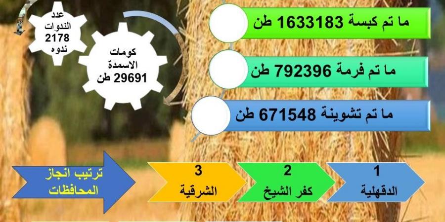 “الزراعة”: إنتاج أكثر من 29 ألف طن أسمدة عضوية من قش الأرز - سعودي الاخباري