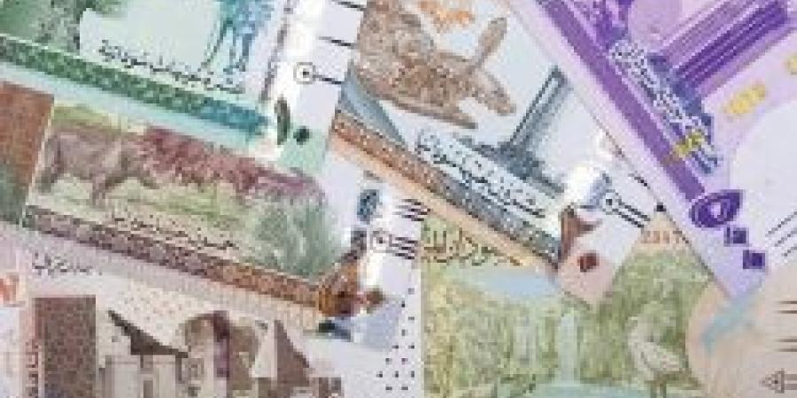 سعر الجنيه السوداني مقابل الريال السعودي اليوم الثلاثاء 29 أكتوبر 2024 في الختام - سعودي الاخباري