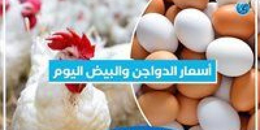 أسعار الدواجن والبيض اليوم الأحد 9-2-2025 بمحافظة البحيرة - سعودي الإخباري