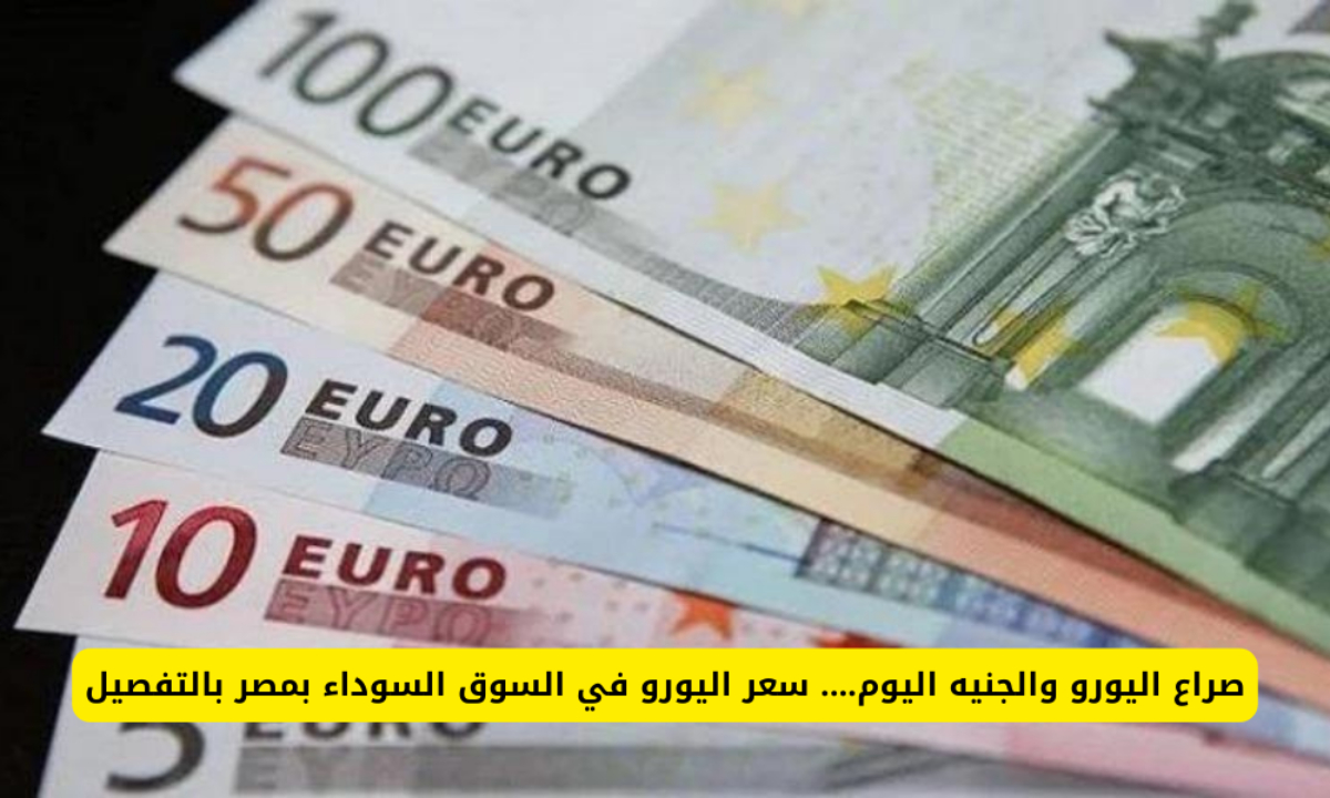 سعر اليورو اليوم مصر الخميس 28 نوفمبر 2024 بكافة البنوك المصرية العاملة.. تذبذب الأوروبي