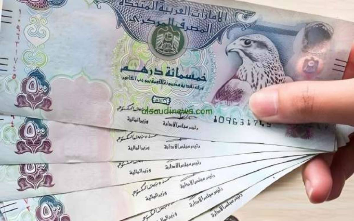 مباشر الآن: سعر الدرهم الاماراتي اليوم الثلاثاء 2024/11/26 في البنوك المصرية بعد قرار البنك المركزي