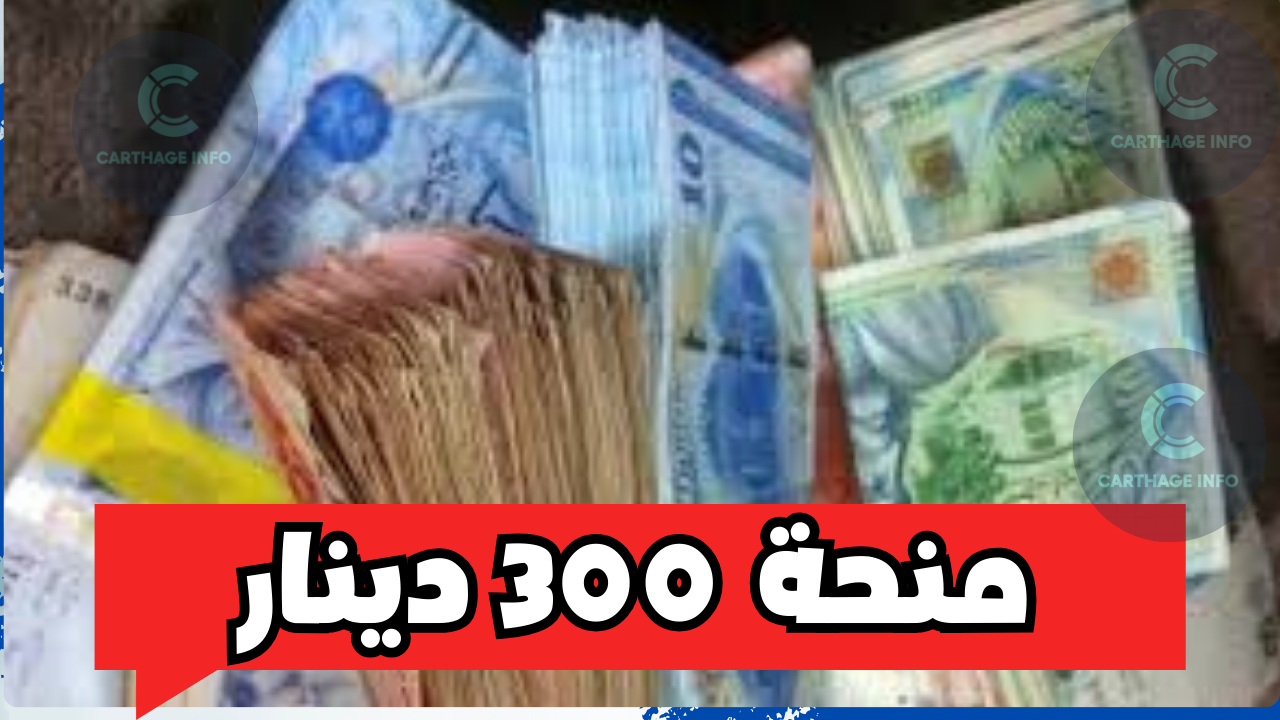 منحة 300 دينار تونس 2024 وخطوات التسجيل بها.. ما هي متطلبات الحصول علي المنحة؟