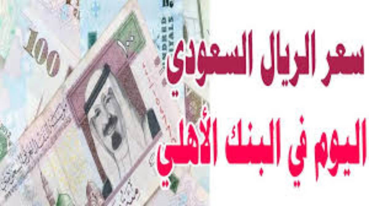 آخر تحديث.. سعر الريال السعودي اليوم البنك الاهلي الثلاثاء 2024/11/26 وفي باقي البنوك المصرية