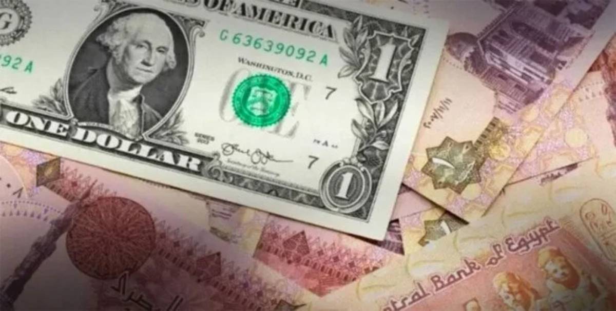 سعر الدولار اليوم البنك الأهلي الثلاثاء الموافق 2024/11/26 وفق آخر تحديث بعد قرار البنك المركزي