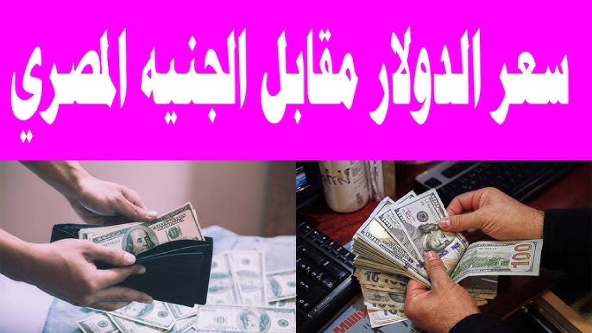 هدوء تام في سعر الدولار اليوم مقابل الجنيه المصري السبت الموافق 2024/11/23 في البنوك