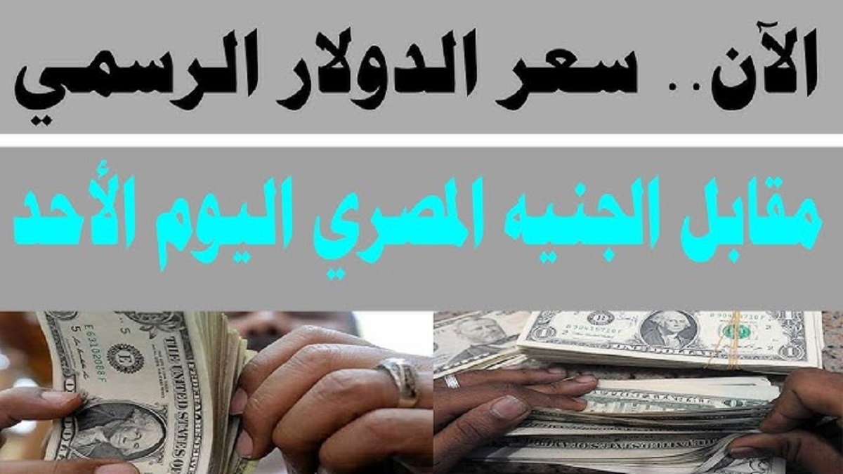 الآن: سعر الدولار مقابل الجنيه المصرى الخميس 21 نوفمبر 2024.. ومسئول بمجلس النواب يطمئن المواطنين