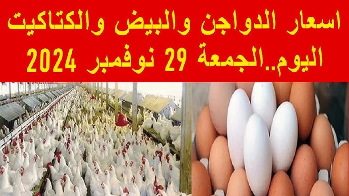 أسعار الفراخ اليوم الجمعه 29-11-2024 وفقاً لتحديث بورصة الدواجن .. هل سجلت إرتفاعاً جديداً؟