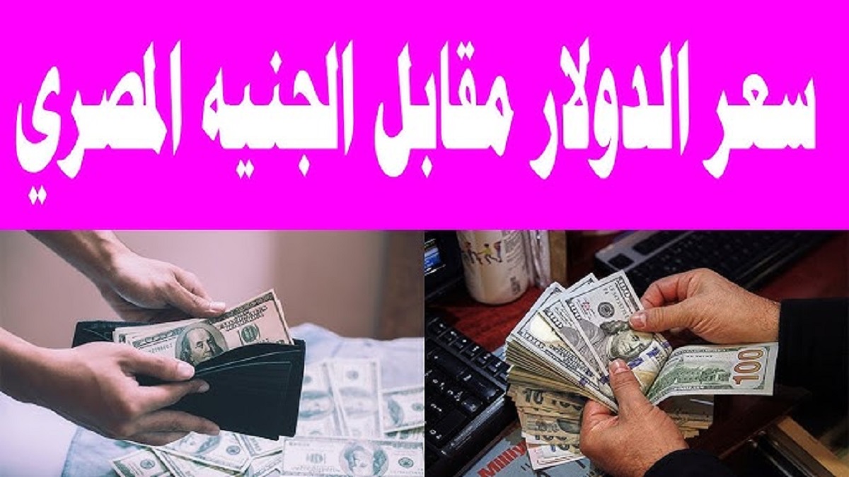 آخر تحديث.. سعر الدولار مقابل الجنيه المصري اليوم الثلاثاء الموافق 26 نوفمبر 2024 مع توقعات الفترة القادمة