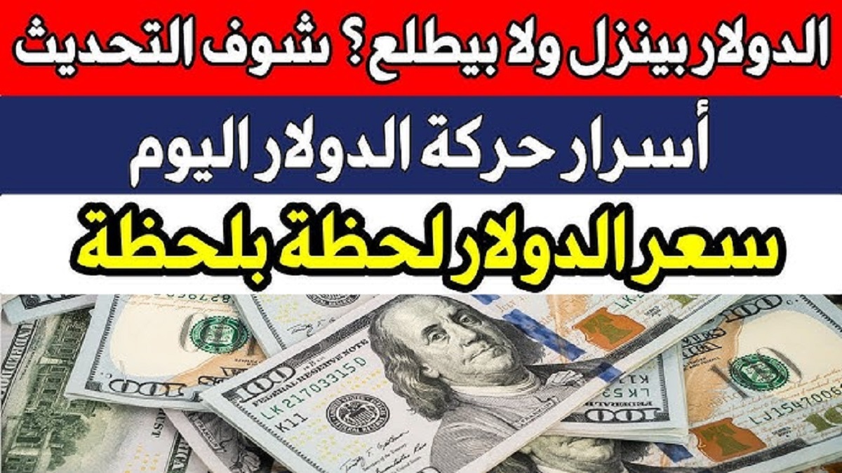 سعر الدولار اليوم في البنوك لحظة بلحظة للشراء و للبيع .. تعرف على آخر التطورات في نهاية التعاملات