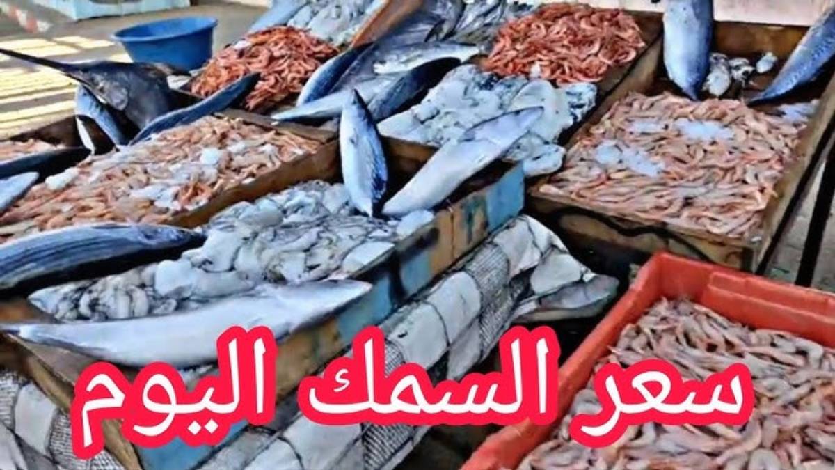 “كل الانواع” أسعار السمك اليوم للمستهلك الاحد 2024/11/24 في سوق العبور والاسواق المصرية