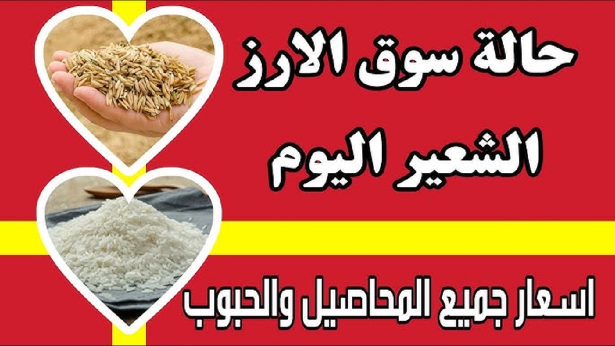 شعبة الأرز تُعلن تراجع سعر الارز الشعير اليوم الثلاثاء الموافق 26 نوفمبر 2024 .. هل يواصل تراجعه في الفتره المُقبله؟