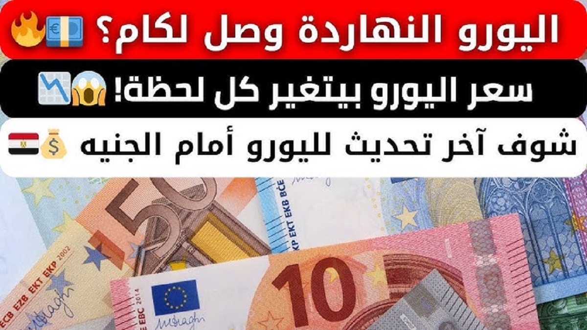 سعر اليورو اليوم في مصر الثلاثاء 26 نوفمبر 2024.. هبوط في تعاملات البيع والشراء