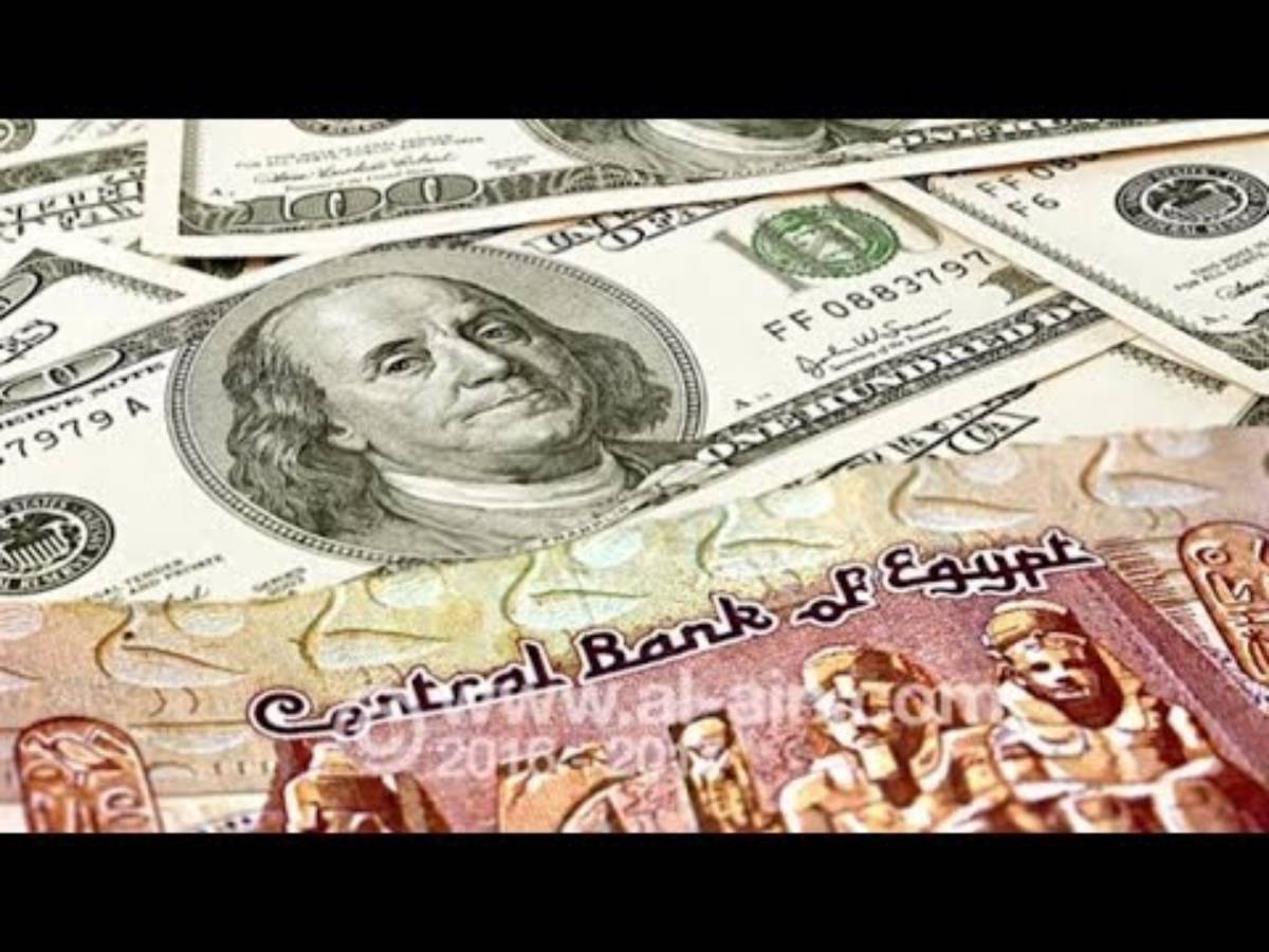 مباشر الآن.. سعر الدولار اليوم مقابل الجنيه المصري السبت الموافق 2024/11/23 في مختلف البنوك المصرية