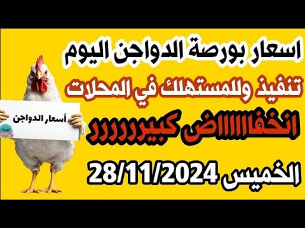 تحديث بورصة الدواجن اليوم أسعار الفراخ البيضاء الخميس 28-11-2024 .. تراجع جديد