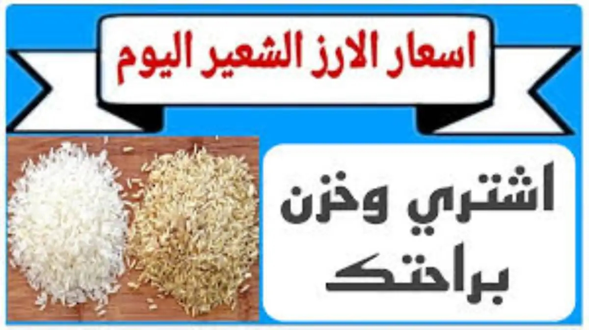 أردب الأرز الشعير بكام؟.. سعر طن الأرز الشعير اليوم الأحد 24-11-2024 ( للمُستهلك) بجميع الاسواق المحلية