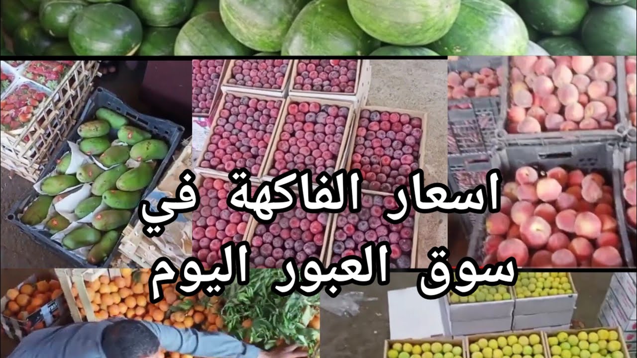 أسعار الفاكهة في سوق العبور اليوم السبت 23-11-2024 آخر تحديث للموقع الرسمي لسوق الجُملة