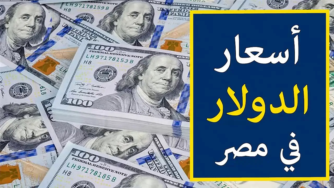 سعر الدولار مقابل الجنيه المصري اليوم الثلاثاء الموافق 26 نوفمبر 2024.. حالة من التراجع تنتاب الأخضر