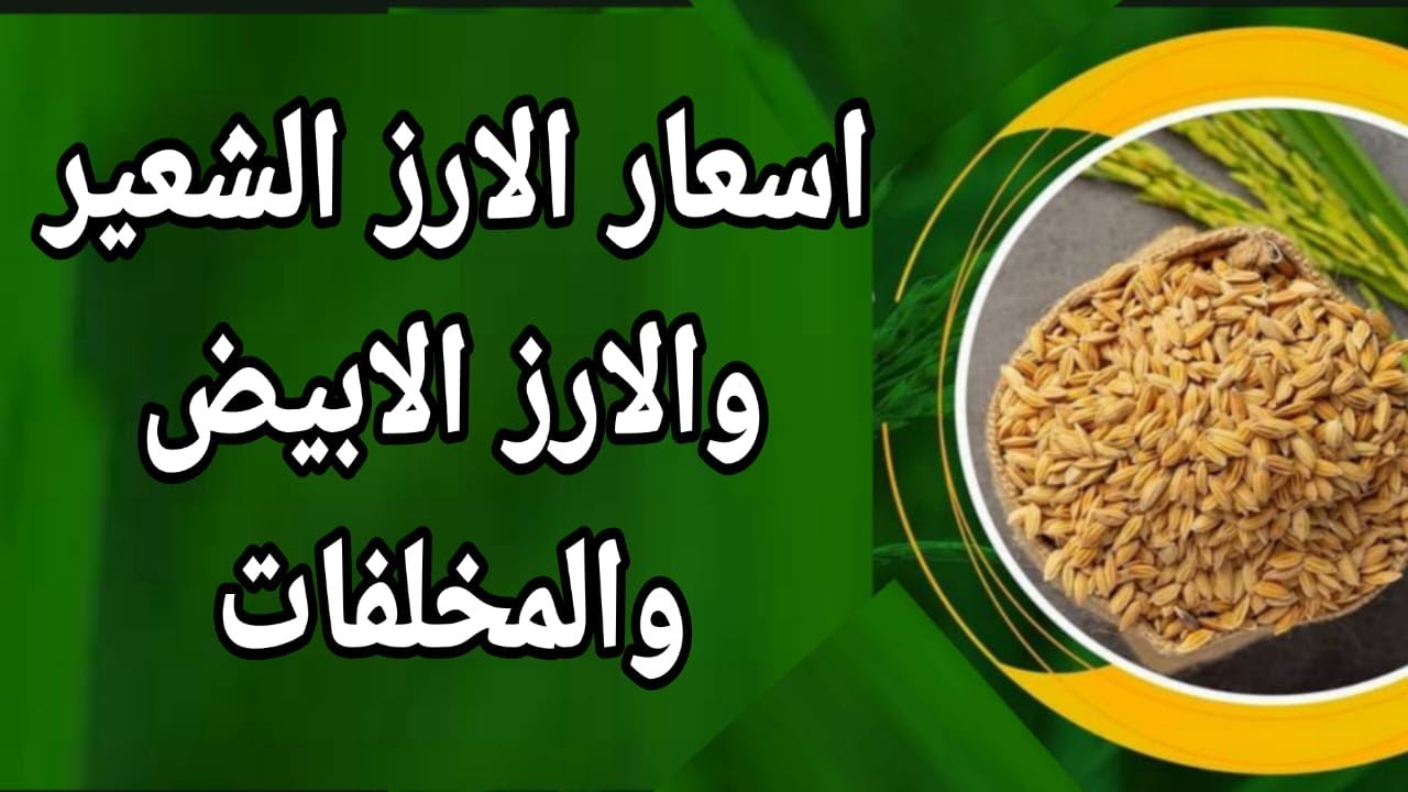 كم سعر الأرز الشعير الطن؟ تعرف على سعر الشعير اليوم 18/11/2024 بجميع انواعة