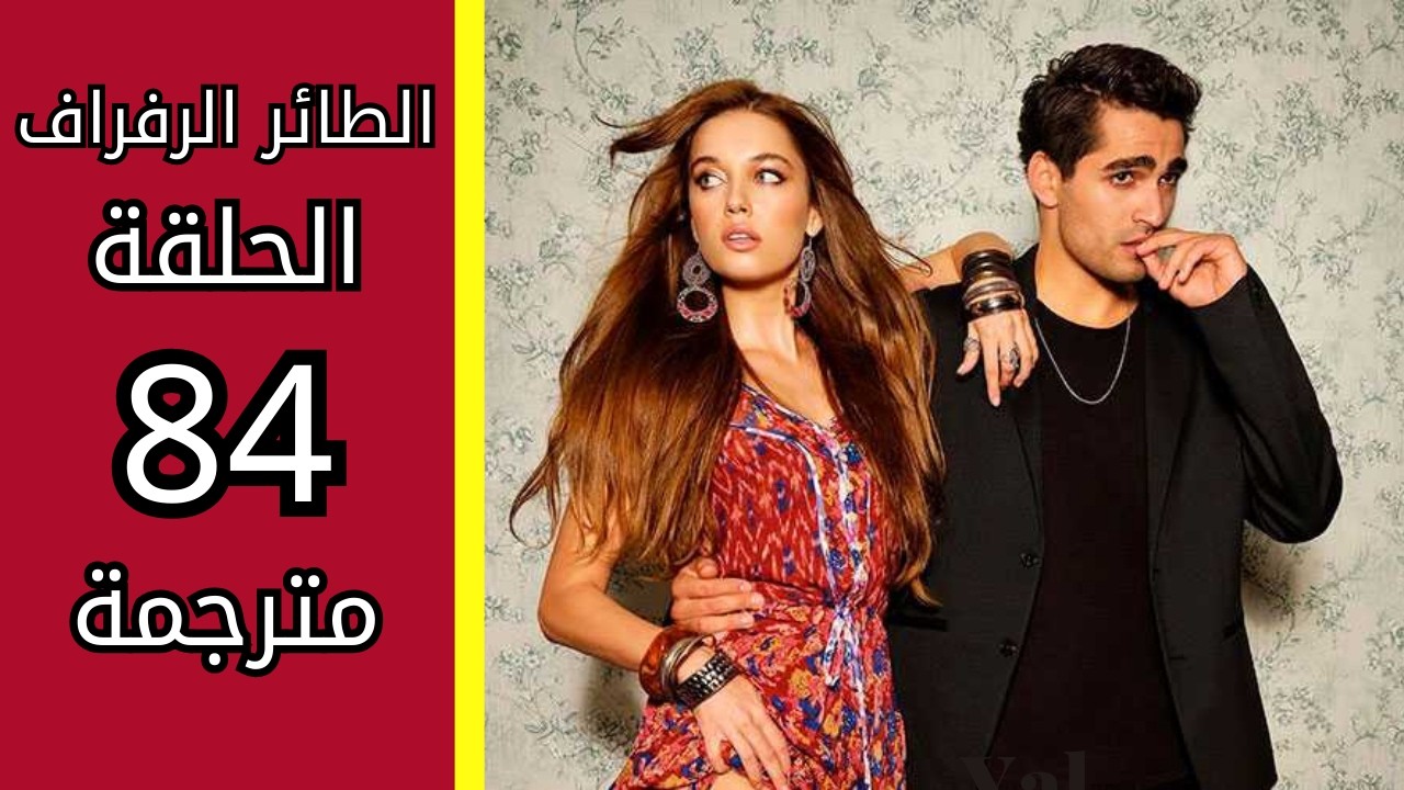 مسلسل الطائر الرفراف الحلقة 84 مترجمة على قناة Star TV التركية وقناة الفجر الجزائرية .. عودة علاقة سيران وفريد