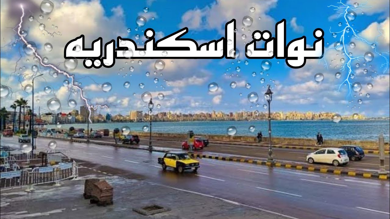 تبدأ بقاسم.. جدول نوات الإسكندرية 2024 في فصل الشتاء حتي مارس 2025