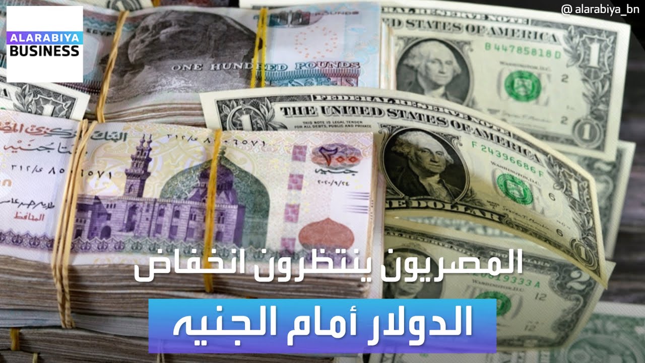 سعر الدولار الآن في مصر الخميس 21 نوفمبر 2024 تحديث مباشر لجميع البنوك المحلية