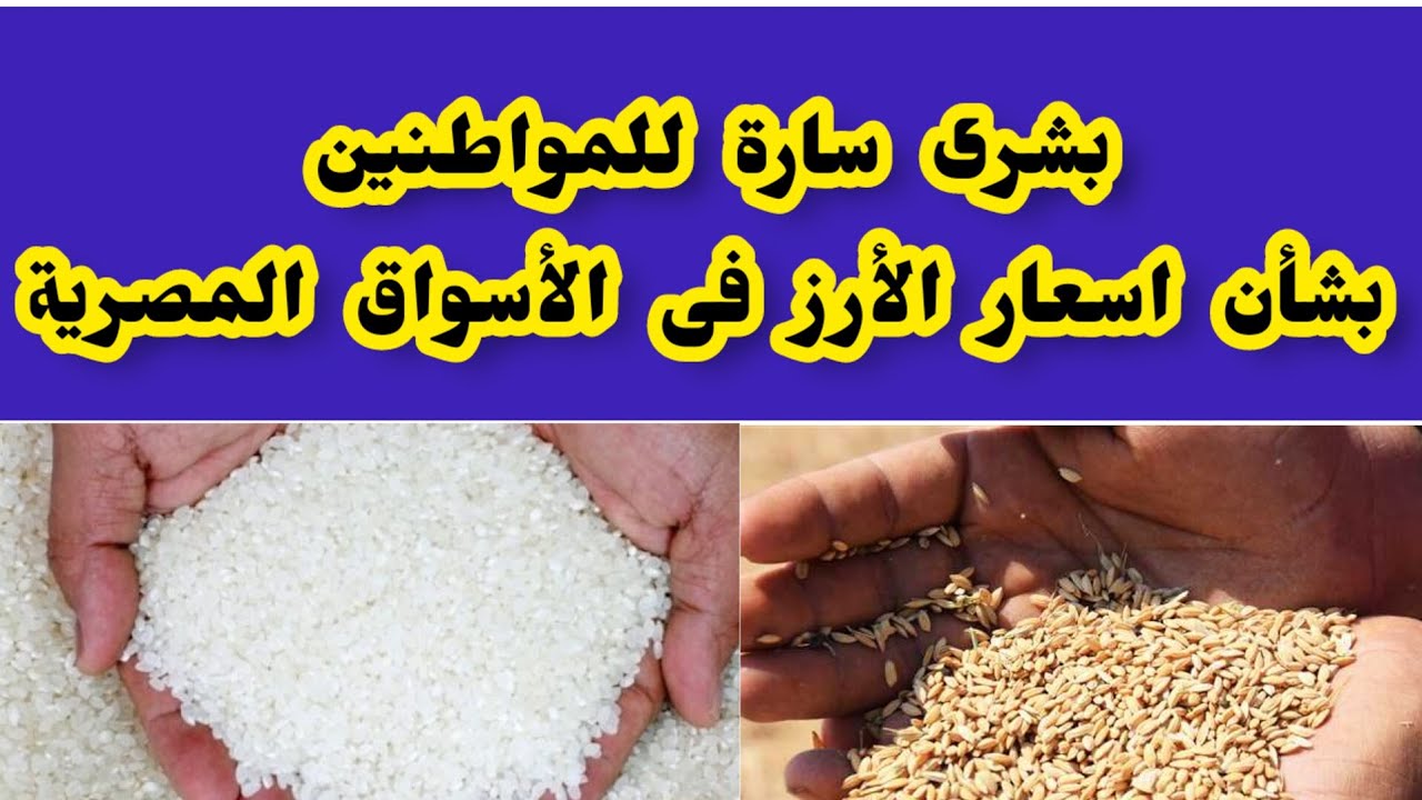 استقرار سعر طن الأرز الشعير اليوم في مصر بجميع أنوعه.. العريض بـ 15,500 جنيه