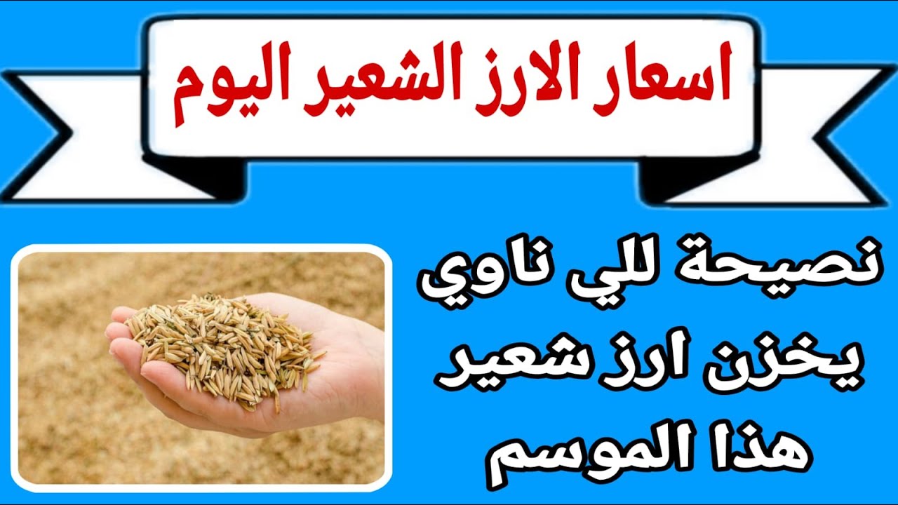 شُعبة الأرز تُعلن سعر طن الأرز الشعير اليوم في مصر لتجار الجملة