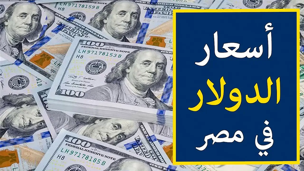 ارتفاع سعر الدولار اليوم في البنوك المصرية الأحد 17 نوفمبر 2024 طبقاً لأخر تحديث