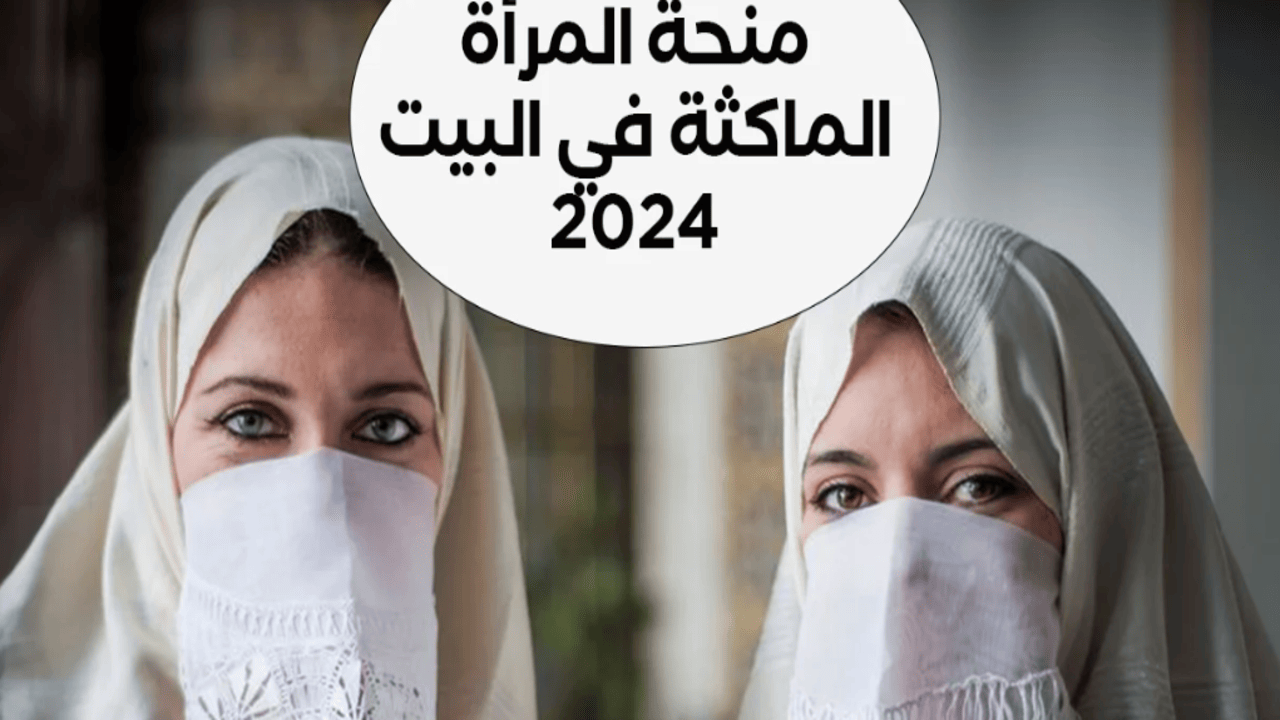 الوكالة الوطنية للتشغيل منحة المرأة الماكثة في البيت من خلال الرابط anem.dz