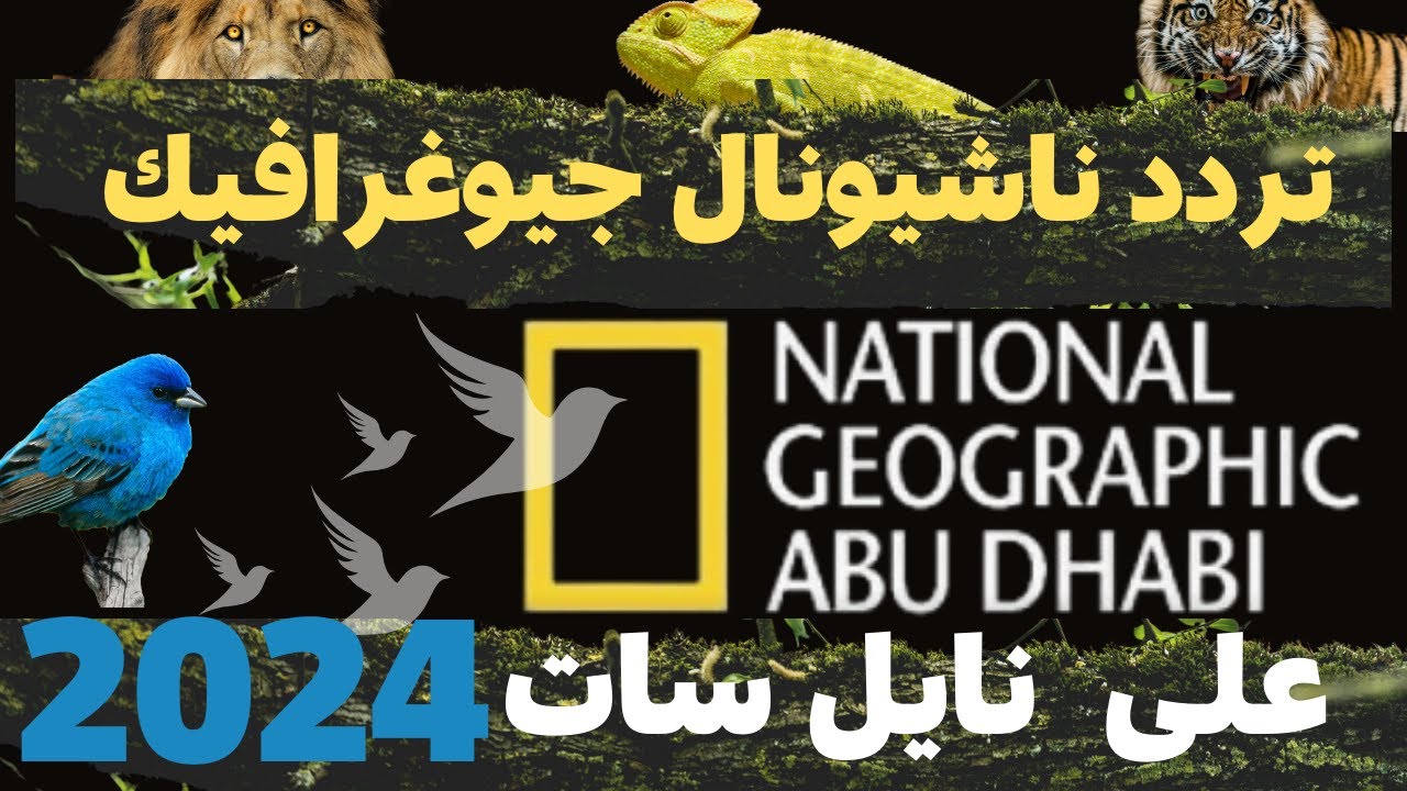 تردد قناة ناشيونال جيوغرافيك 2024 الجديد National Geographic عبر القمر الصناعي النايل سات والعرب سات بجودة HD