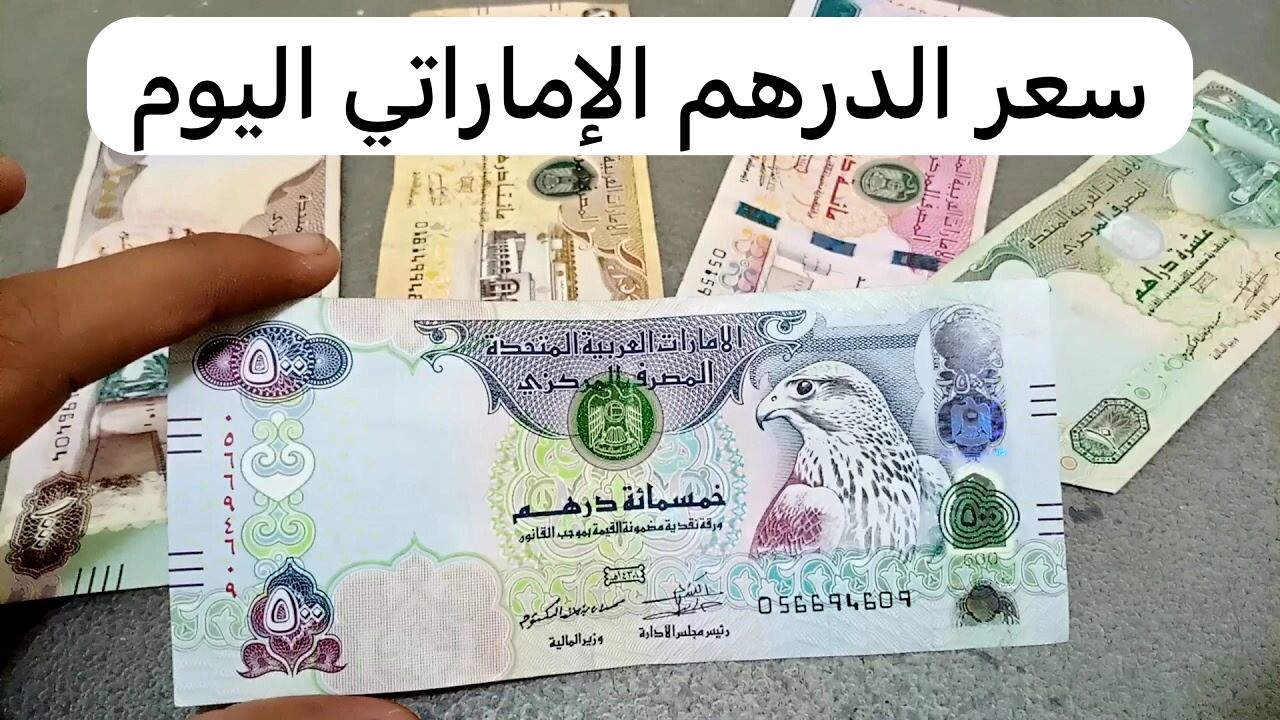 البنك المركزي يُعلن عن سعر الدرهم الاماراتي اليوم مقابل الجنيه للبيع والشراء