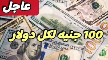 100 دولار كم جنيه مصري في البنك المركزي