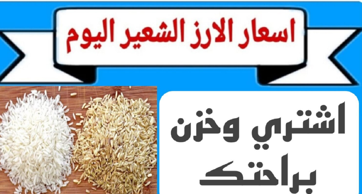 شُعبة الأرز تُعلن سعر طن الأرز الشعير اليوم الاحد للتجار في مصر