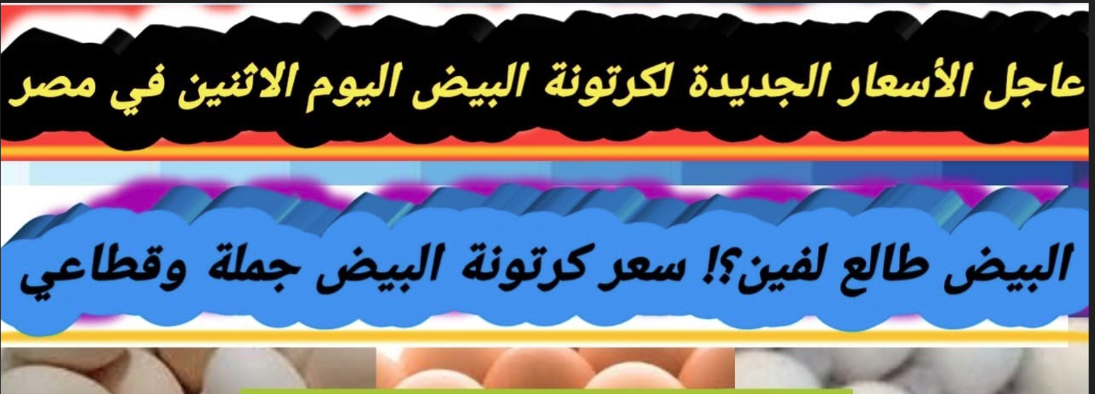 (بلدي، احمر، ابيض) سعر كرتونة البيض اليوم للمستهلك في الأسواق المصرية