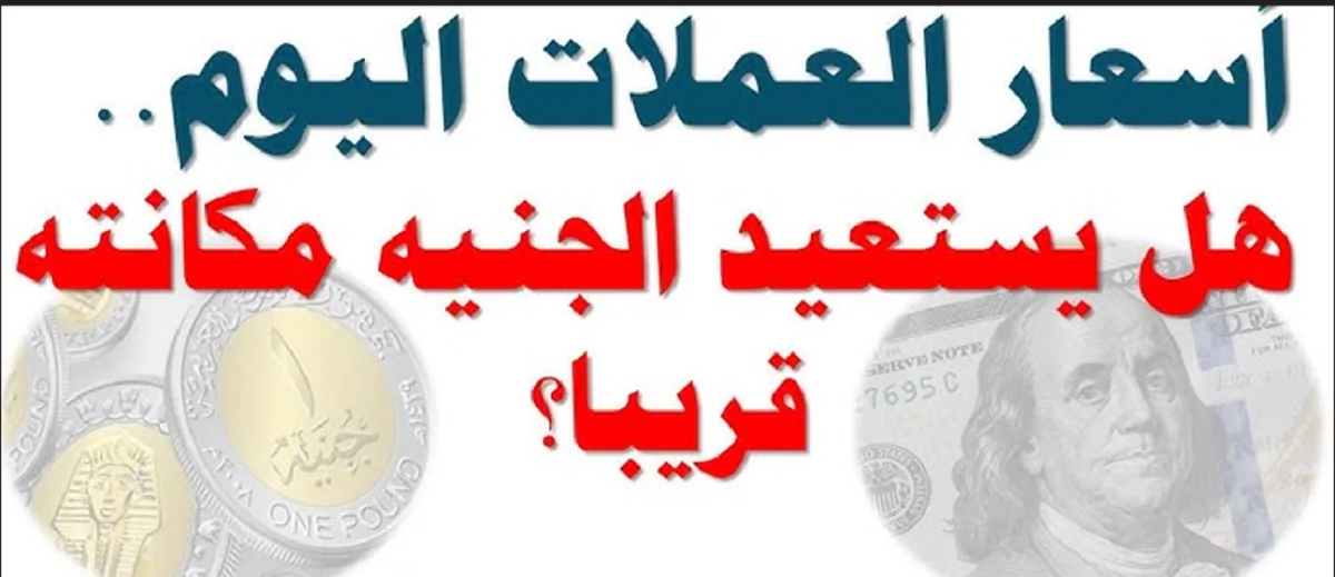 “دولار، ريال، يورو”.. ارتفاع أسعار العملات اليوم في مصر الخميس 12 ديسمبر 2024 مقابل الجنية