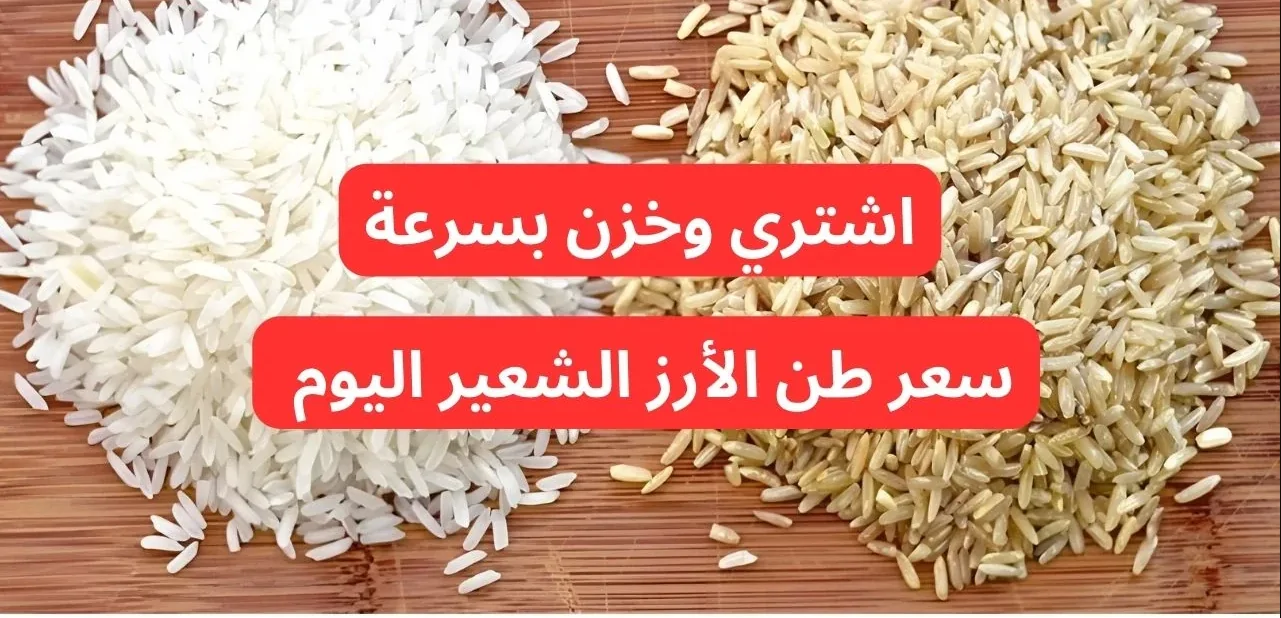 “تسعيرة السوق” سعر طن الأرز الشعير اليوم الاثنين 2-12-2024 للمستهلك بالسوق المحلي وأسعار السلع