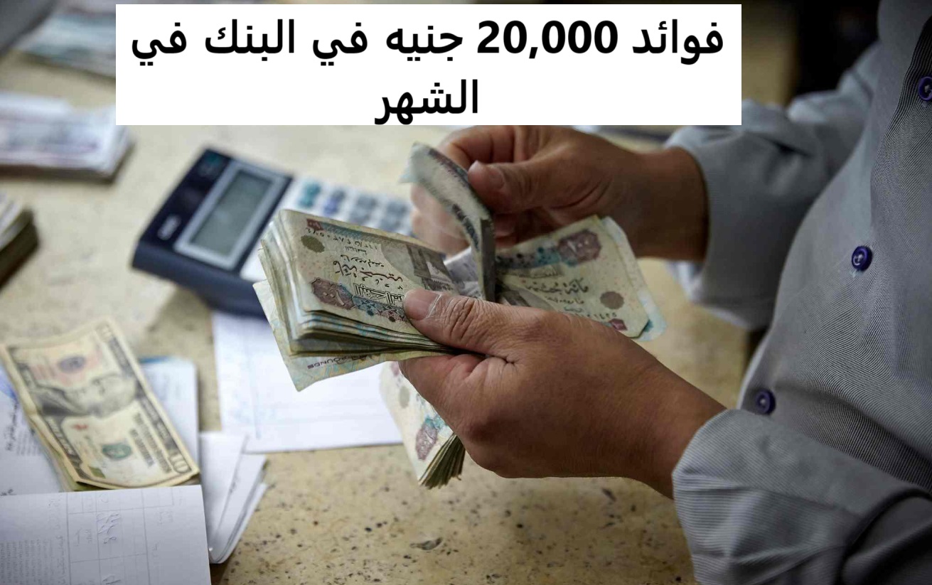 “ارباح ومكاسب كبيرة”.. كم فوائد 20,000 جنيه في البنك في الشهر وأفضل شهادات البنك الأهلي بعائد يصل إلى 27%