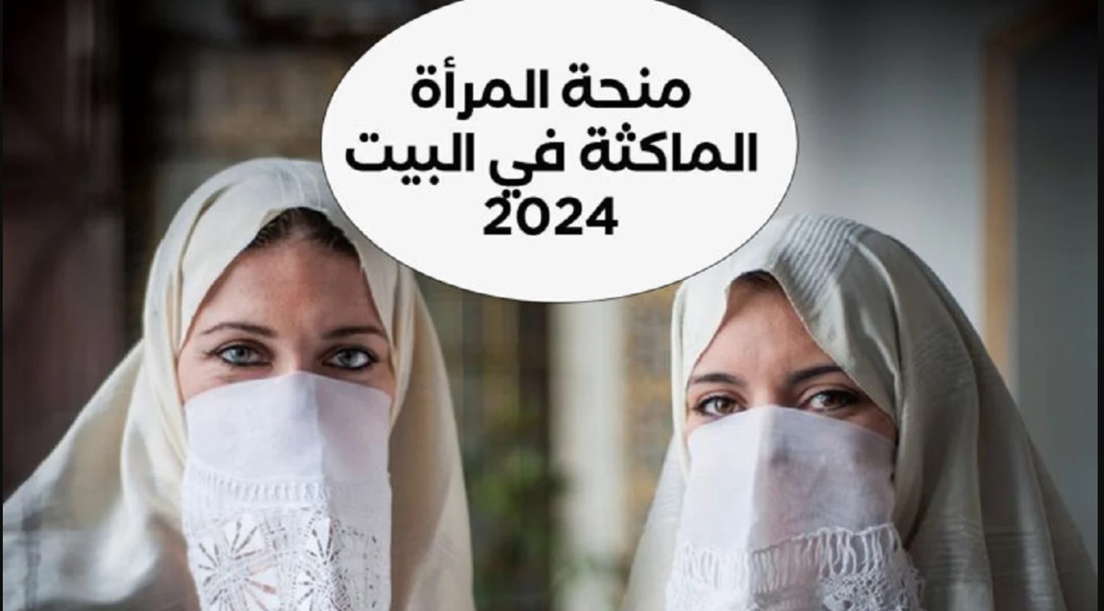 كيفية التسجيل في منحة المرأة الماكثة بالجزائر لعام 2024 عبر anem.dz.. بقيمة تصل إلى 800 دينار