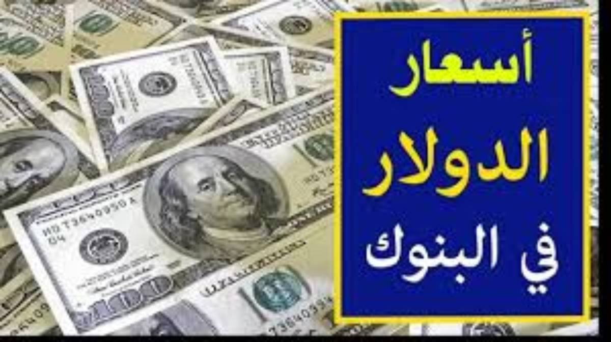 استقرار سعر الدولار اليوم مقابل الجنيه المصري الاربعاء 11 ديسمبر 2024 وفق آخر تحديث بالبنوك