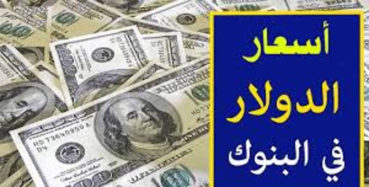 الآن.. سعر الدولار اليوم مقابل الجنيه المصري السبت 21 ديسمبر 2024 في البنوك وفق آخر تحديث