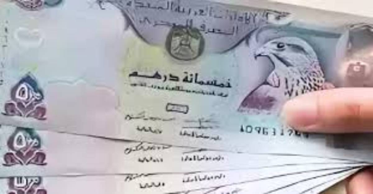 لحظياً.. سعر الدرهم الإماراتي مقابل الجنيه المصري اليوم الثلاثاء الموافق 10 ديسمبر 2024 بالينوك وفق آخر تحديث