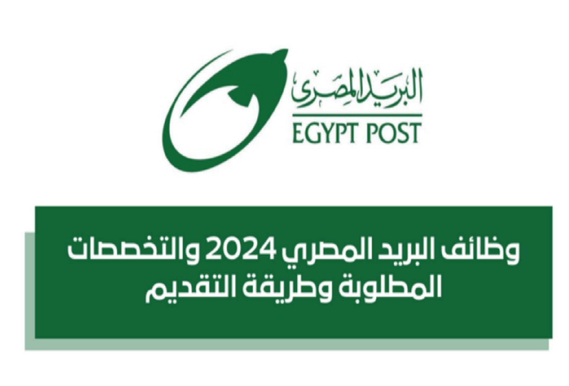 تخصصات وظائف البريد المصري 2025 في مصر وطريقة وشروط التقديم