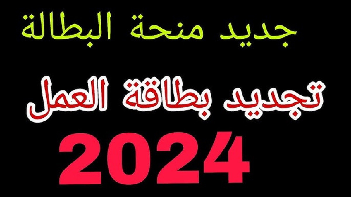 “جددها الآن” .. خطوات تجديد منحة البطالة 2024 من الهاتف بطريقة سهلة عبر موقع الوكالة الوطنية للتشغيل anem