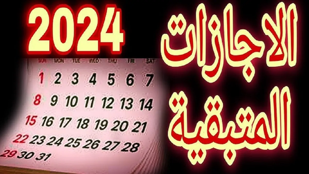 “اخر عطلات العام” ما هي إجازات شهر ديسمبر 2024 وفقاً لما أعلن عنها مجلس الوزراء المصري